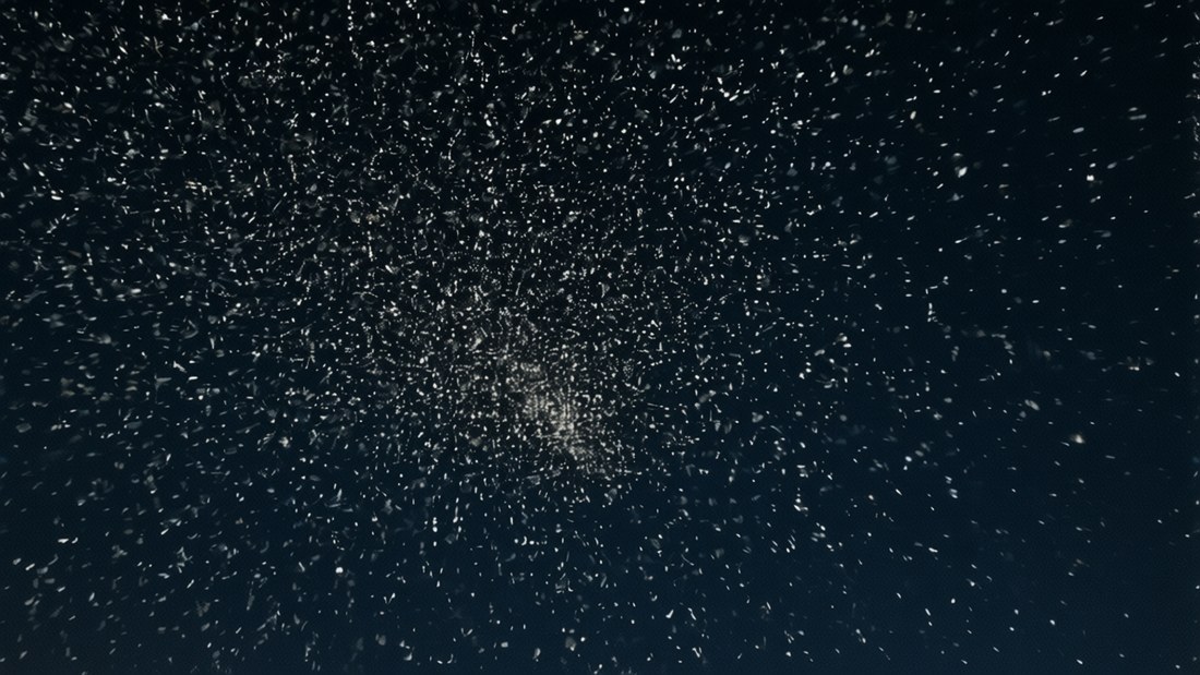 Die Cluster, unbewegt