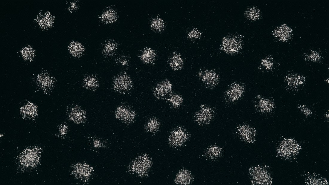 &Uuml;berall erwachen die Cluster