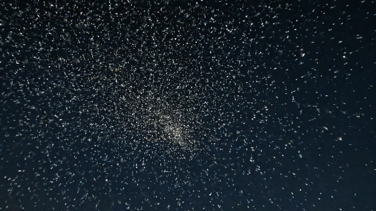 Malora — Ballungen in der Schwaerze